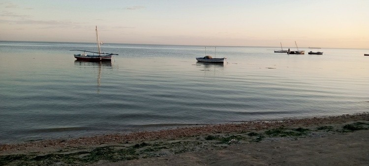 IMG 20210202 173110 921
