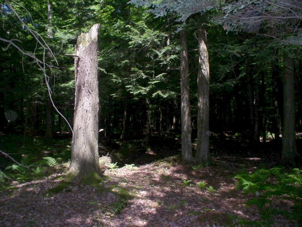 Glen