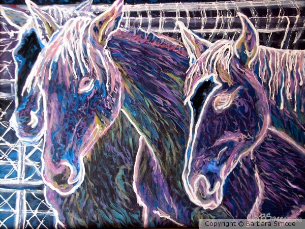 Wild Horses