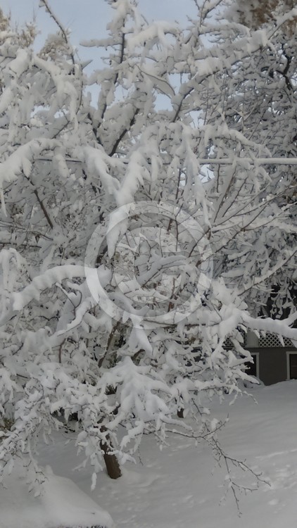 Winter storm