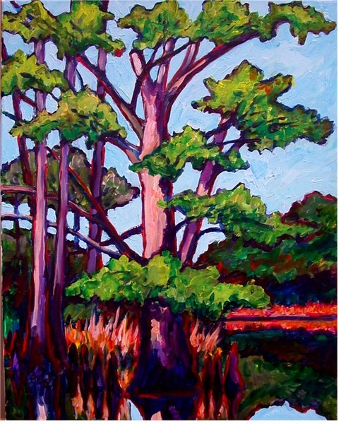 Old Cypress in Spring Bayou (2005) (Gifted)
