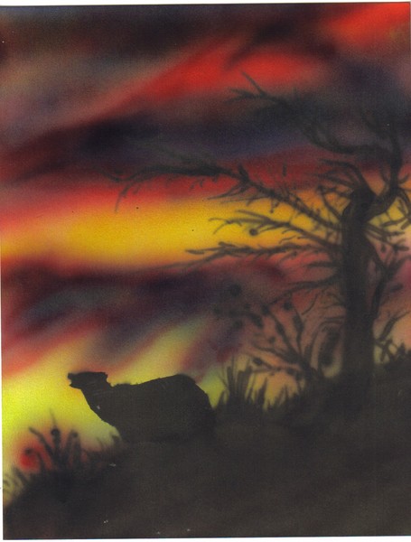 wolf sunset