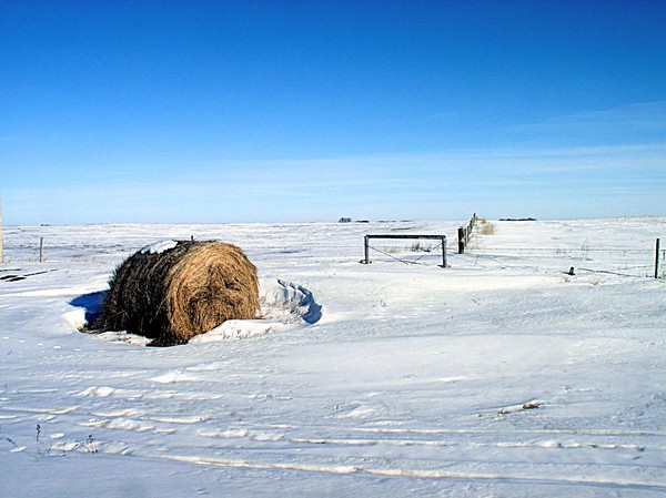 Hay Bale