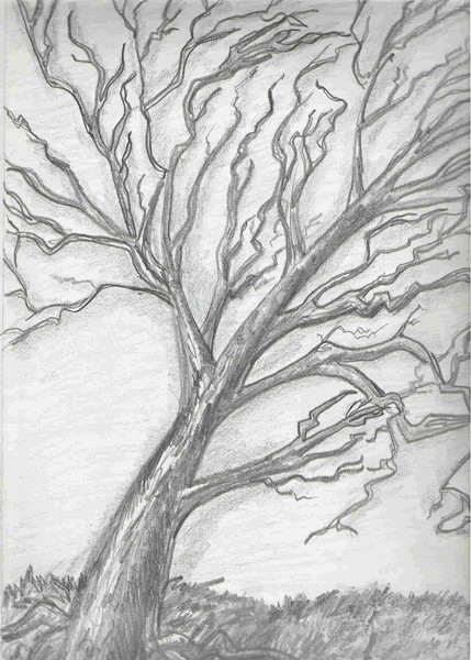 Tree #2