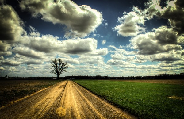Lone Road