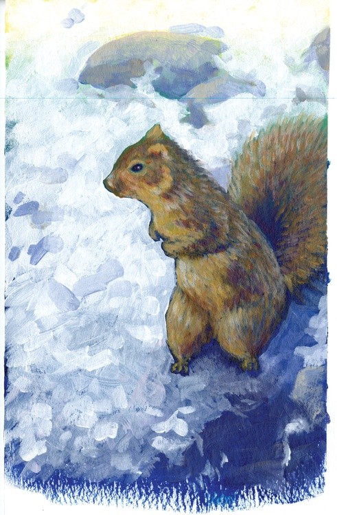 squirrel painting winter