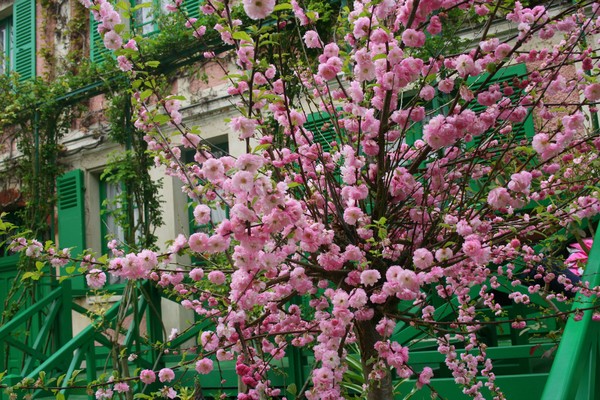 Claude Monet Lived Here