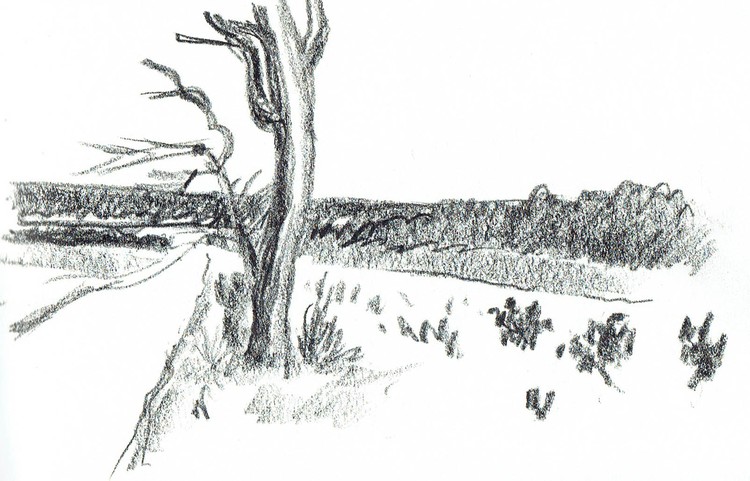 Rural view