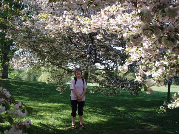 Spring in denmark