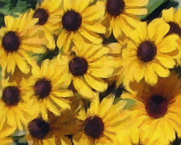 Mellow Yellow