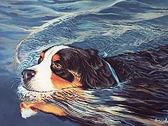 Mountain Dog