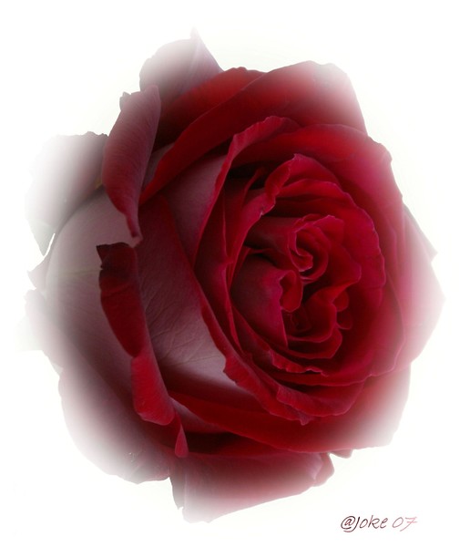 Have a beautiful sunday
