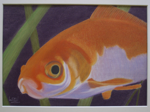 Gold Fish