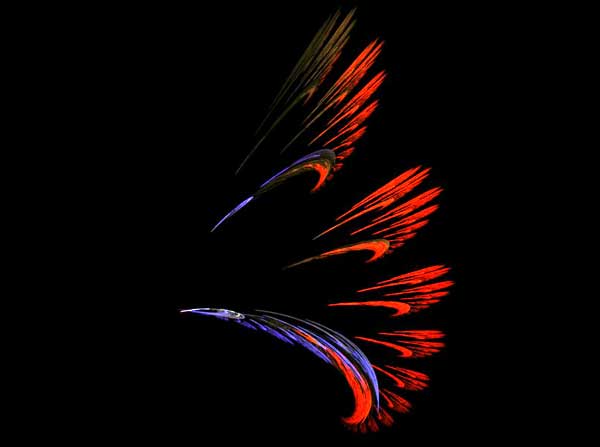 Hummingbird