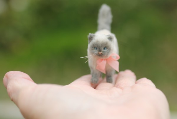 Himalayan Cat Miniature