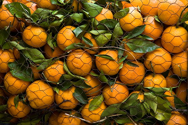 Oranges, Morocco