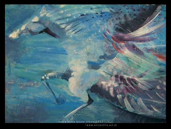 magic of pegasus