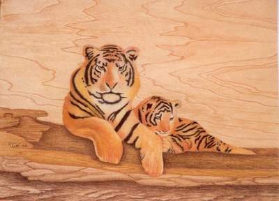 Bengal & Baby