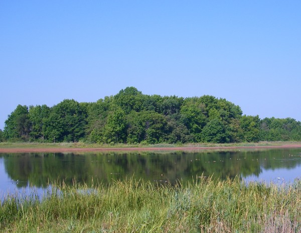 Bombay Hook Reflections