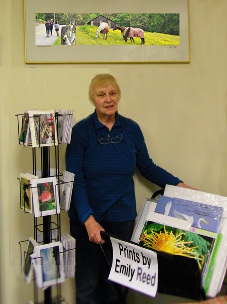 Gift Shop Display