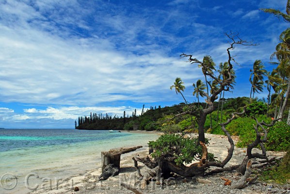 Quiet beach on Baie de Kanumera