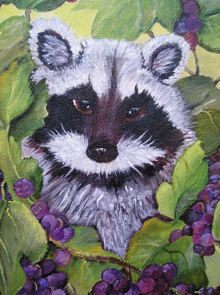 ROCKY RACCOON