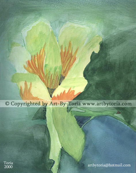 Tulip Poplar
