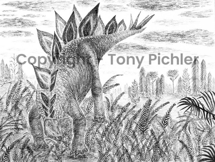 A Good Day to be a Stegosaurus