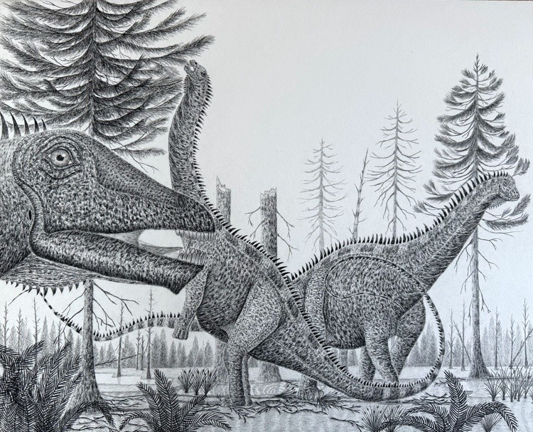 A Late Jurassic Apatosaurus Herd