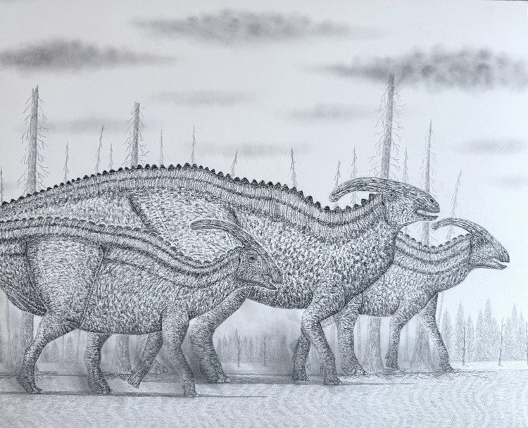 A Parasaurolophus Herd Migration in the Late Cretaceous 
