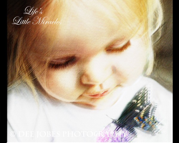 Life's Little Miracles