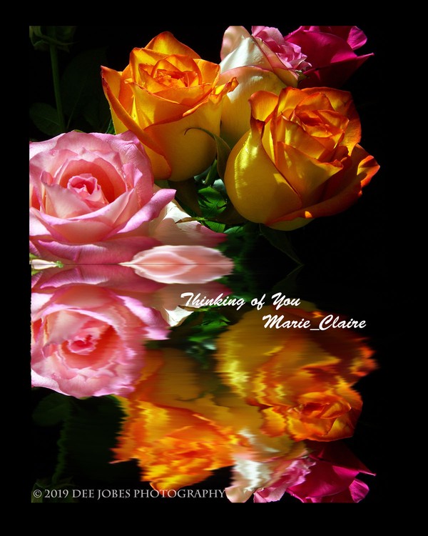 Thinking of You Marie-Claire  
