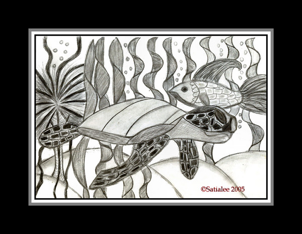 Turtle Adventure