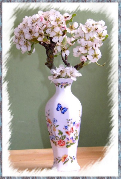 Pear Blossom