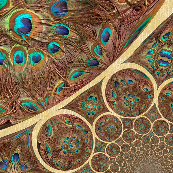 Feather Design (Abstract One)