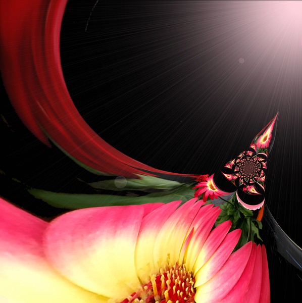 Futuristic Flowers (Two)