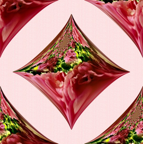 Pink Pivoines (Two)