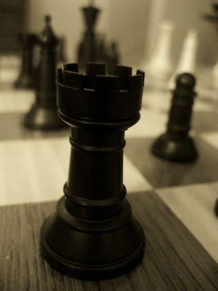 Rook