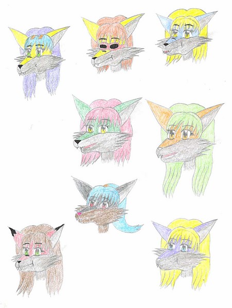 FoxColorCharacterSheet