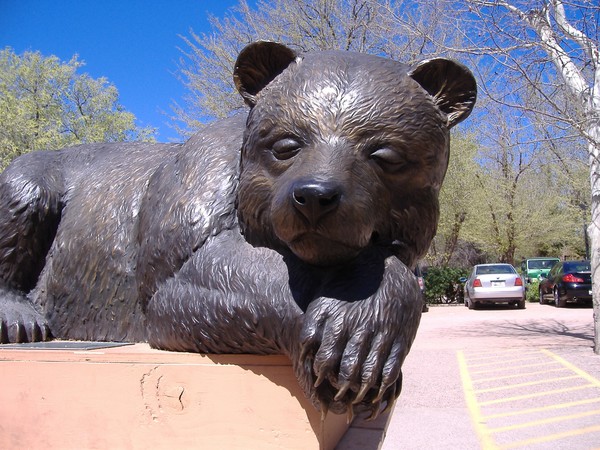 bearface1