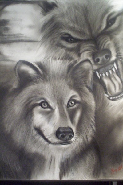 wolves completed