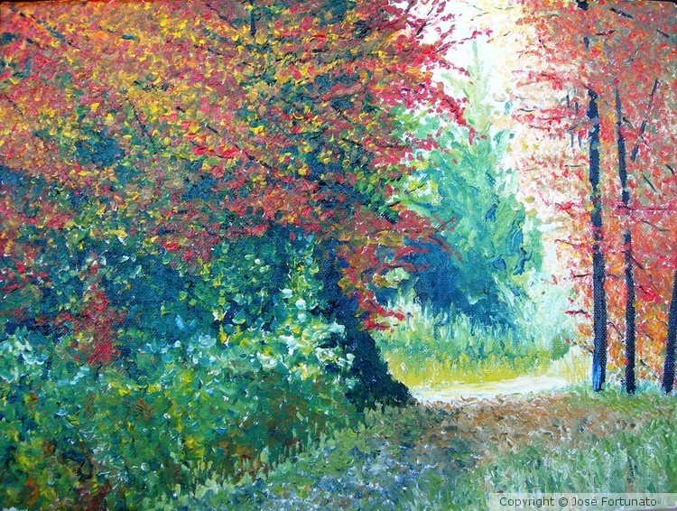Que la forêt est belle !