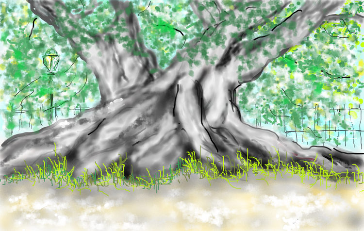 Troncos ficus