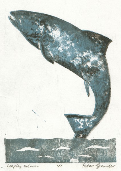 Leaping salmon cardboard print