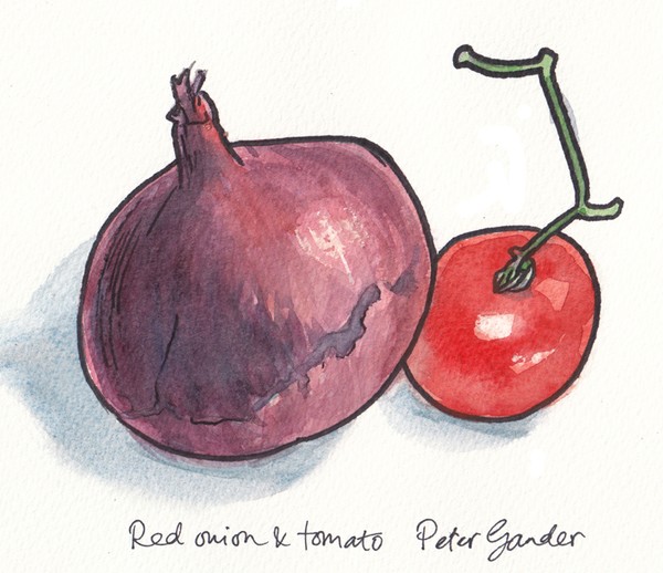 Red onion and tomato