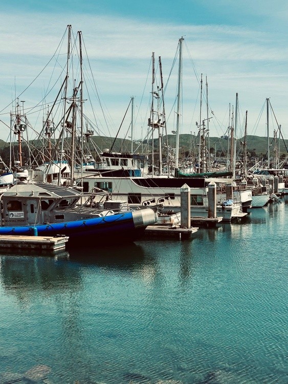 Spud Point 