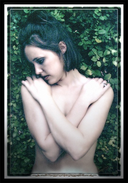Bloom Among The Ivy