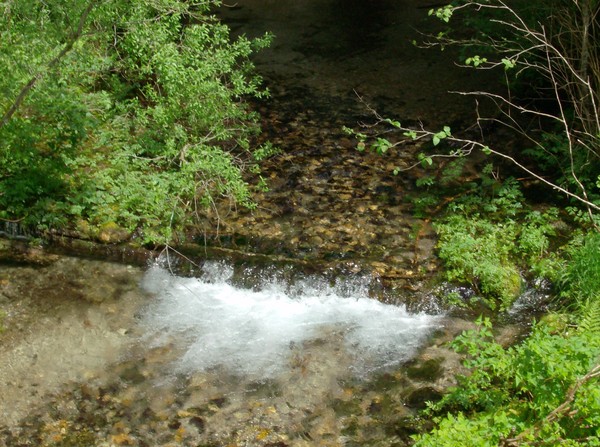 Brook -a little piece of heaven