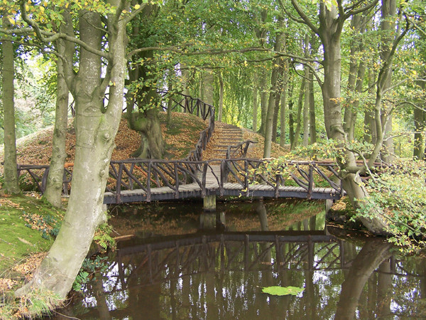 Decision Bridge