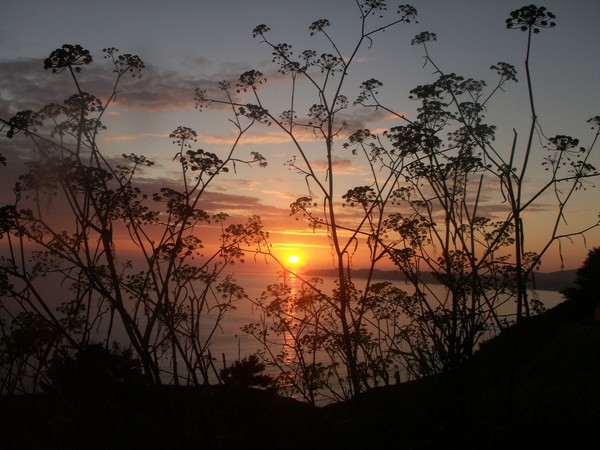 Pacific Sunset